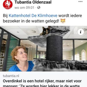 Interview Tubantia met Nicole Niemeijer van kattenhotel De Klimhoeve in Twente