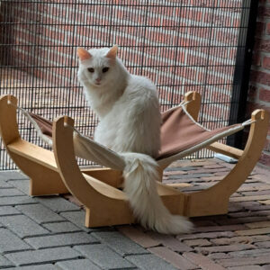 Kattenhotel met ruim buitenverblijf in Twente, Overijssel