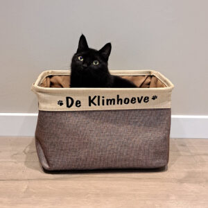 Kattenhotel de Klimhoeve biedt luxe kamers met airco en veel speelplekken