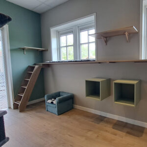 Mooie ruime groepskamers met goede verzorging bij kattenhotel de Klimhoeve vlakbij Enschede en Oldenzaal