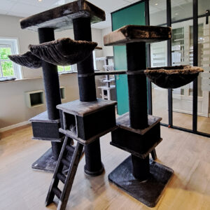 Mooie ruime groepskamers voor vakantieopvang van poezen bij kattenpension de Klimhoeve vlakbij Enschede en Oldenzaal