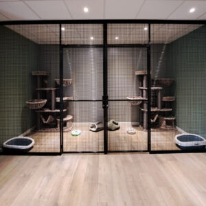 Luxe privekamers met airconditioning bij kattenhotel de Klimhoeve in Overdinkel-Losser