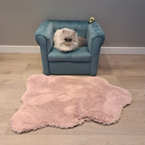 Poezenhotel - Poezenpension in Overdinkel bij Odenzaal